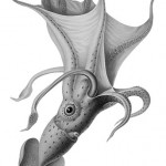 Conference Hound-Up February 29, 2012: Add a Little Mystery to Your Leap Day
