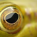 He's watchin' you