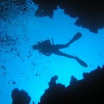 Conference Hound-Up March 20, 2012: Diving into the Future