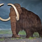 Conference Hound-Up March 13, 2012: I Hope Prehistoric Animals Like Pizza