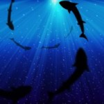 Conference Hound-Up March 8, 2012: Diving into the Abyss