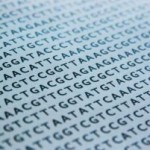 Jack Bauer's DNA
