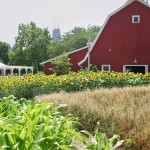 The Ultimate Tool: Farmfest Helps Flourish Farming for Everyone