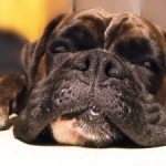 Conference Hound-Up: Featured Events For The Week