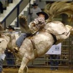 #Agribition