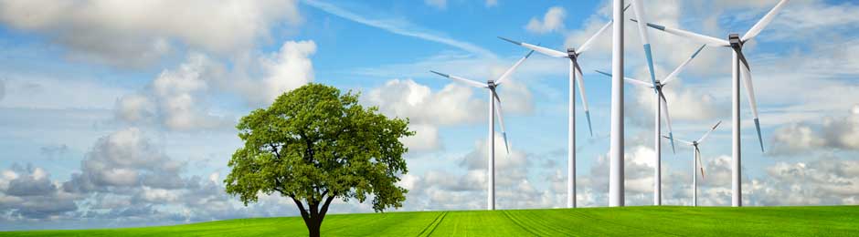Photo banner for Environmental